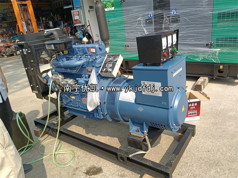 2024年4月1日，客戶到店自提30KW濰坊雷納柴油發(fā)電機(jī)組